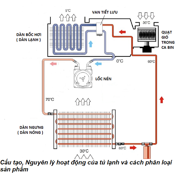 Cấu tạo tủ lạnh 