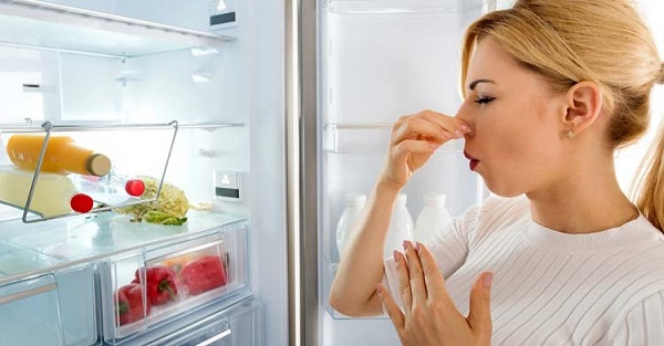 Nguyên nhân khiến tủ lạnh có mùi