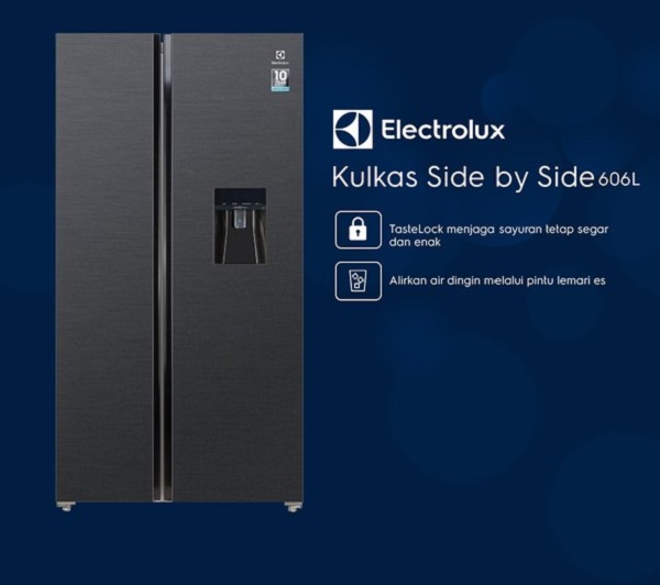 Tủ lạnh Electrolux ESE 6141A BVN