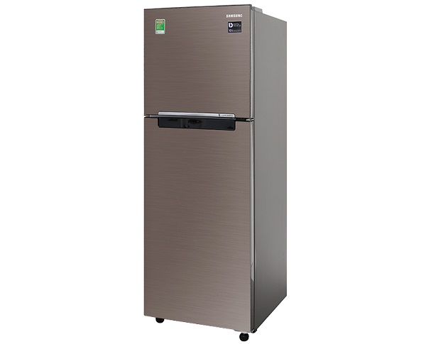 Tủ lạnh Samsung Inverter 236 lít RT22M4032DX/SV 